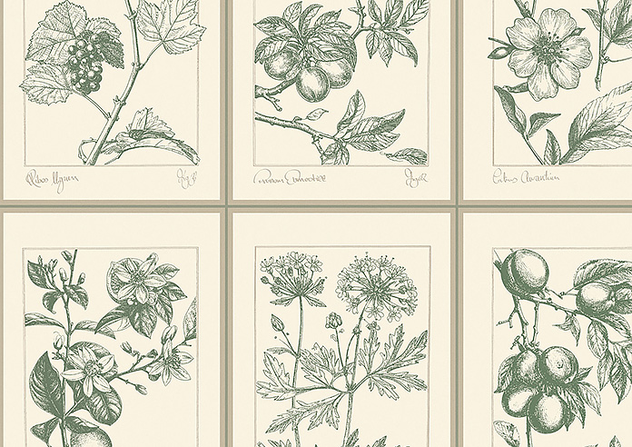 Sketchbook, Coriscon - Twist&Fit Roller Blind - Image 6
